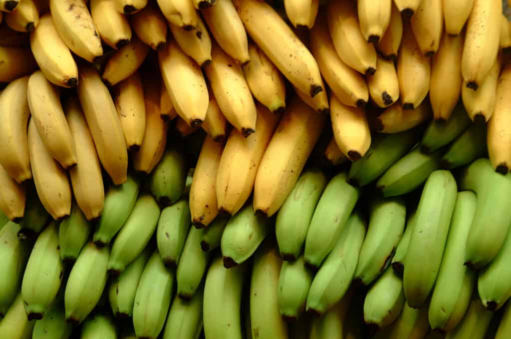 10 Amazing Facts About Bananas Brand New Vegan