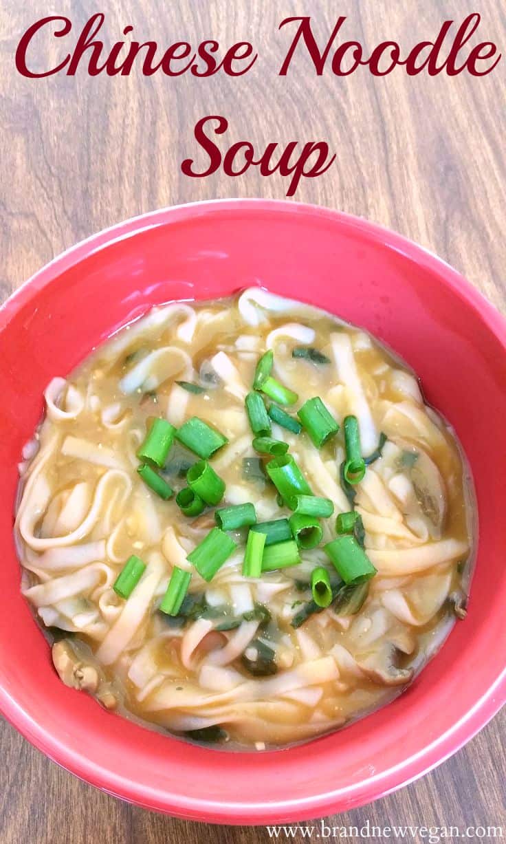 Chinese Noodle Soup - Brand New Vegan