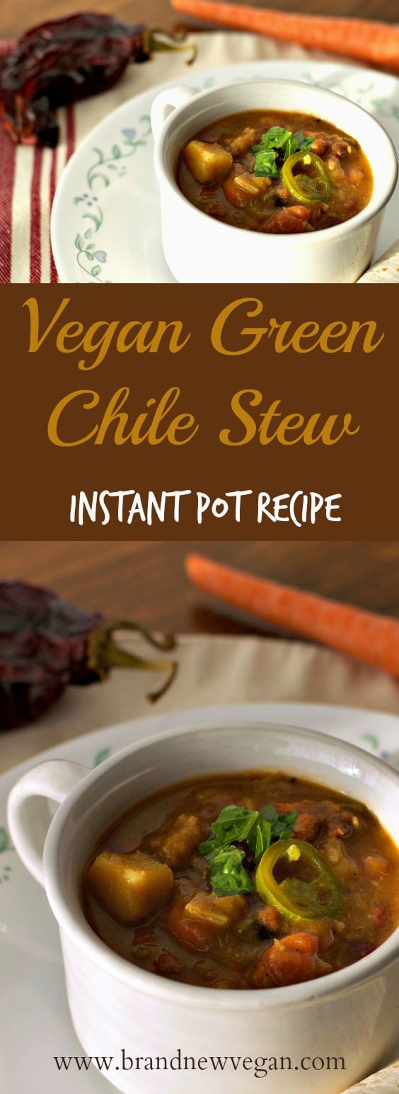 Vegan Green Chile Stew pin