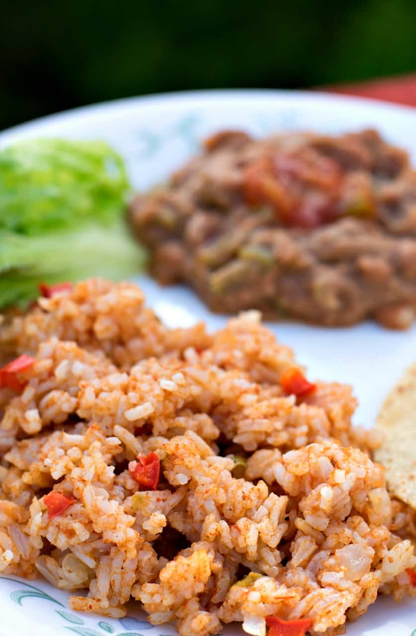 Instant Pot Spanish Rice Brand New Vegan