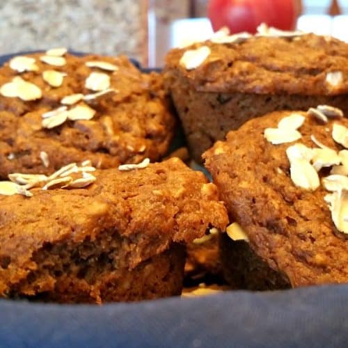 Oatmeal Applesauce Muffins Brand New Vegan