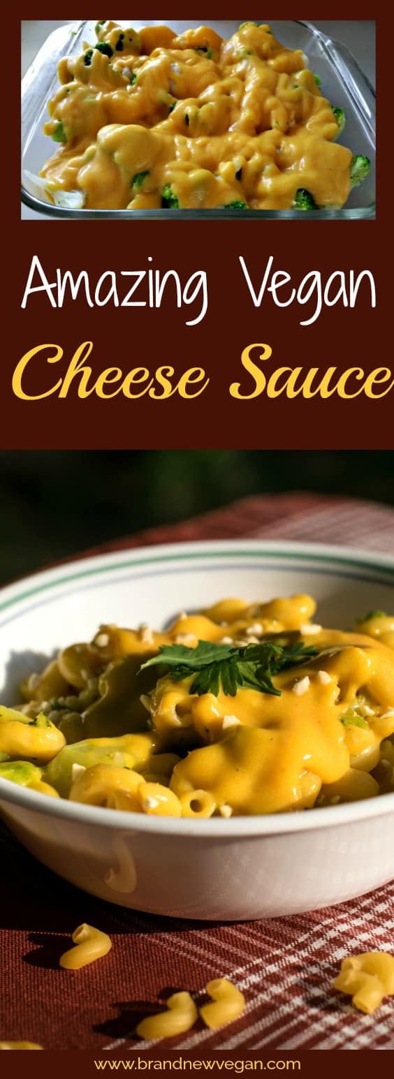 Amazing Vegan Cheese Sauce Brand New Vegan