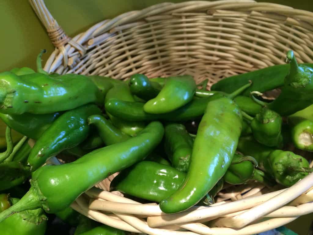 hatch green chile