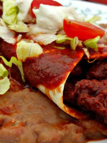 vegan carne adovada 2