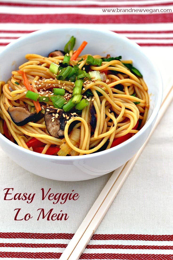 I don't know what it is, but there's just something comforting about sitting down with a big bowl of noodles.... like this incredibly easy, fat-free, Veggie Lo Mein.