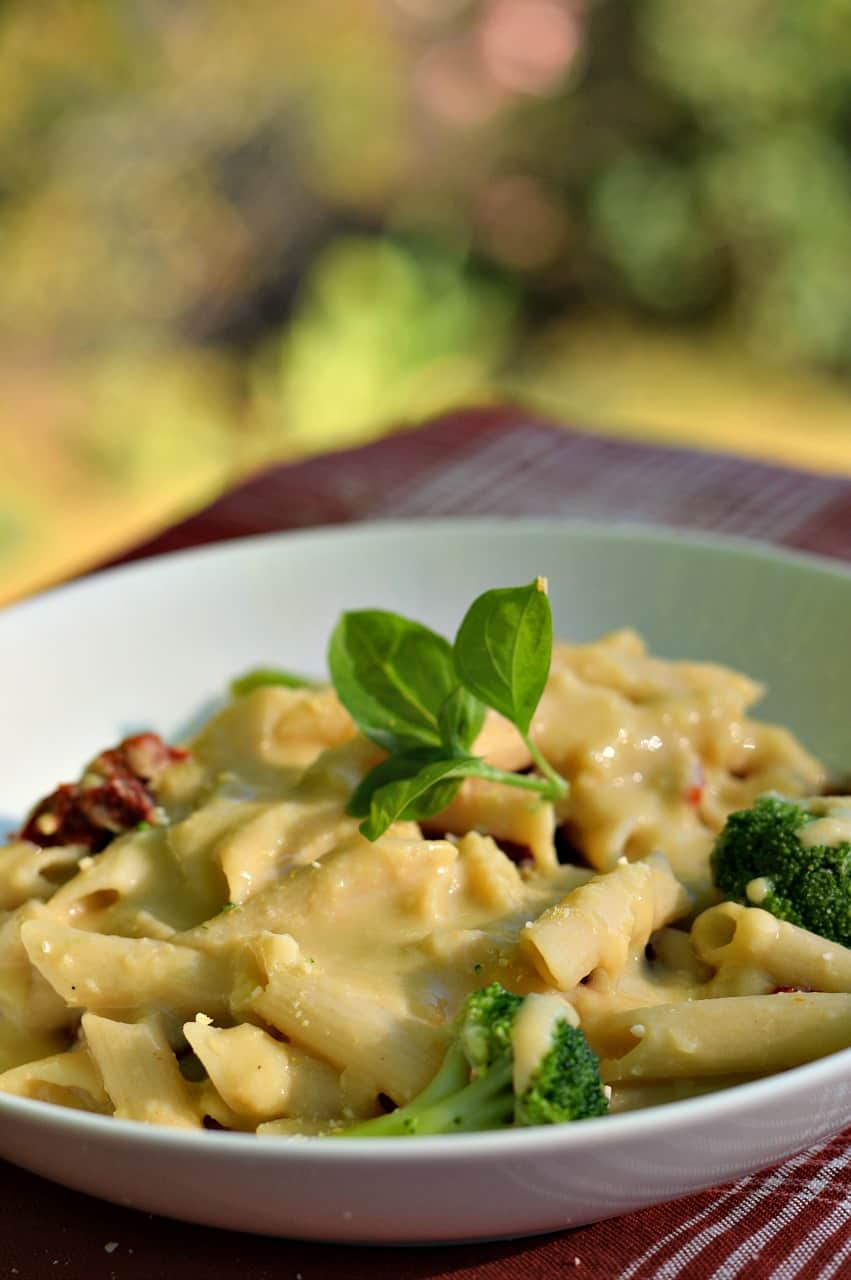 vegan garlic alfredo