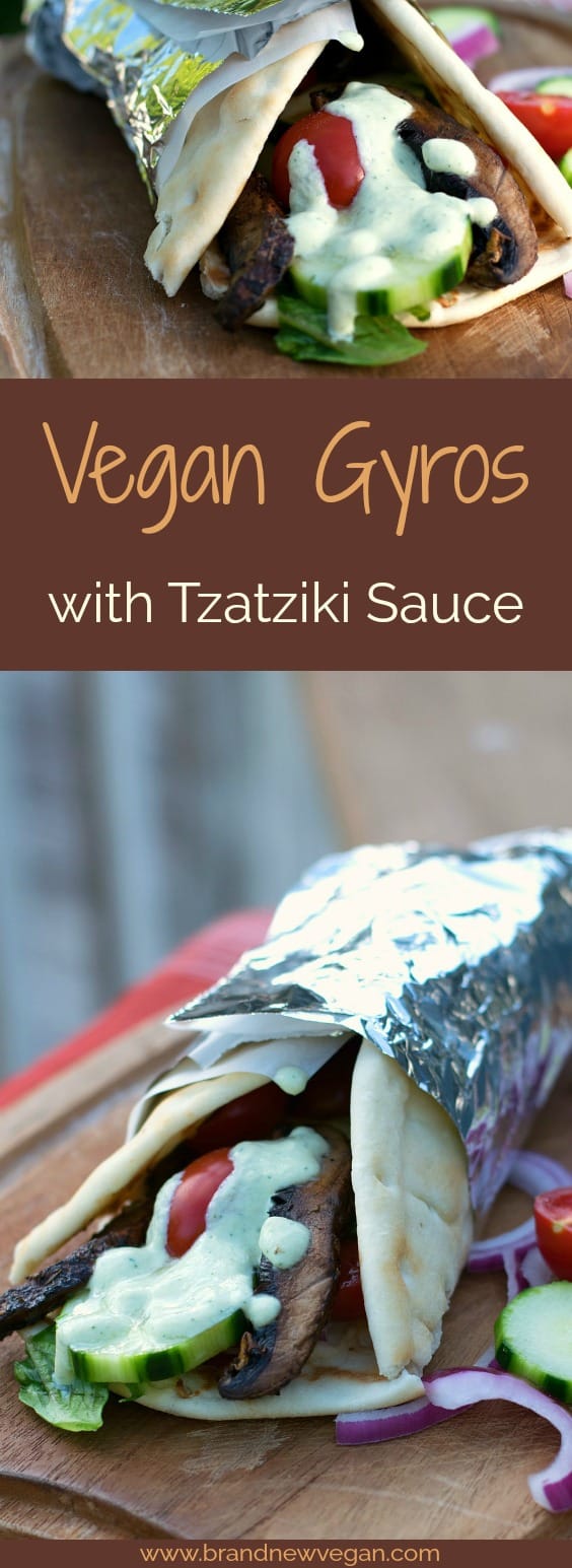 Vegan Gyros with Tzatziki Sauce Brand New Vegan