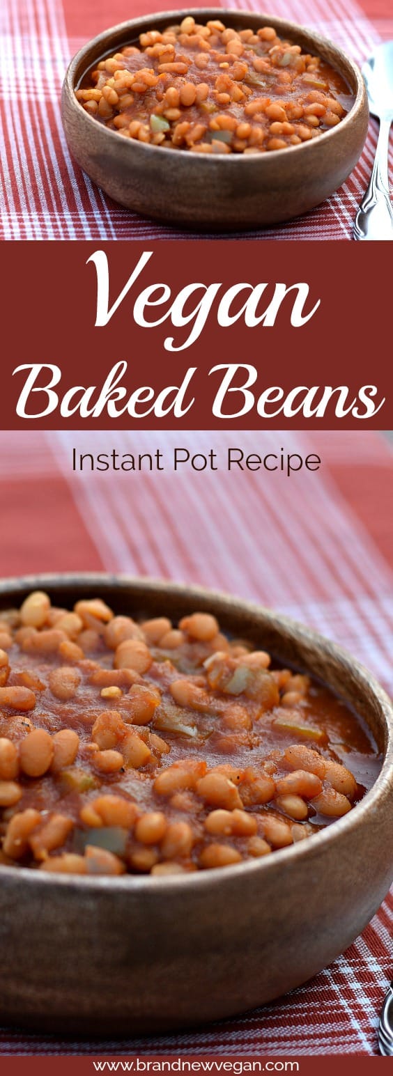 These Vegan Baked Beans will surely be a ht at your next BBQ. That same 'old fashioned, simmered all day long" baked bean taste - without the stove..