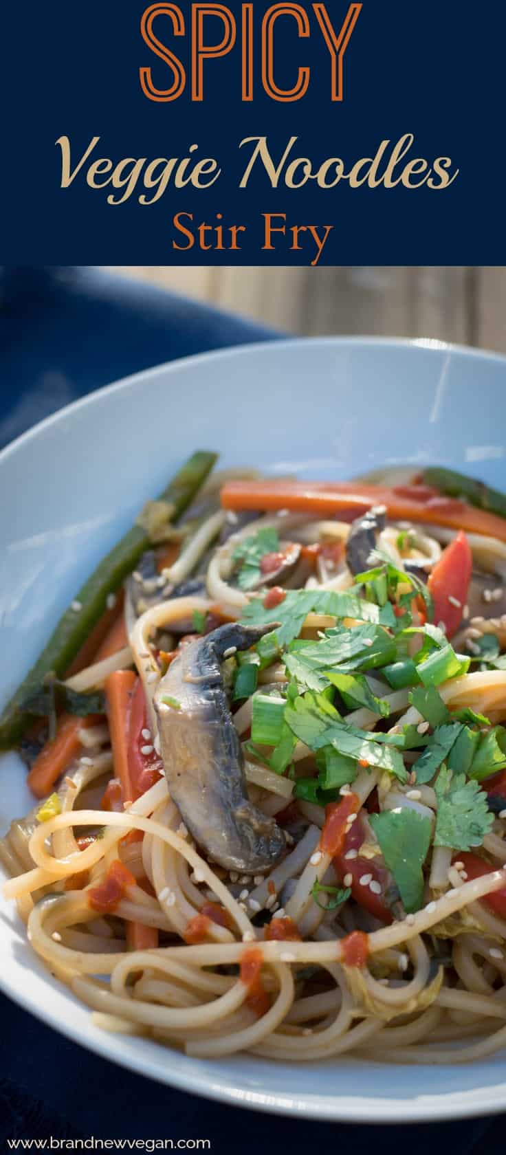 spicy veggie noodles stir fry