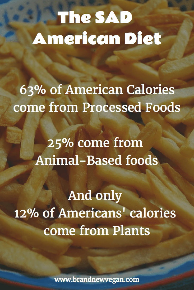 The SAD American Diet