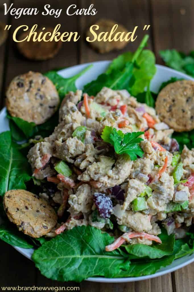 This Vegan Chicken Salad replaces one of our most beloved comfort foods that many of us Brand New Vegans miss after making the switch to healthier eating. 