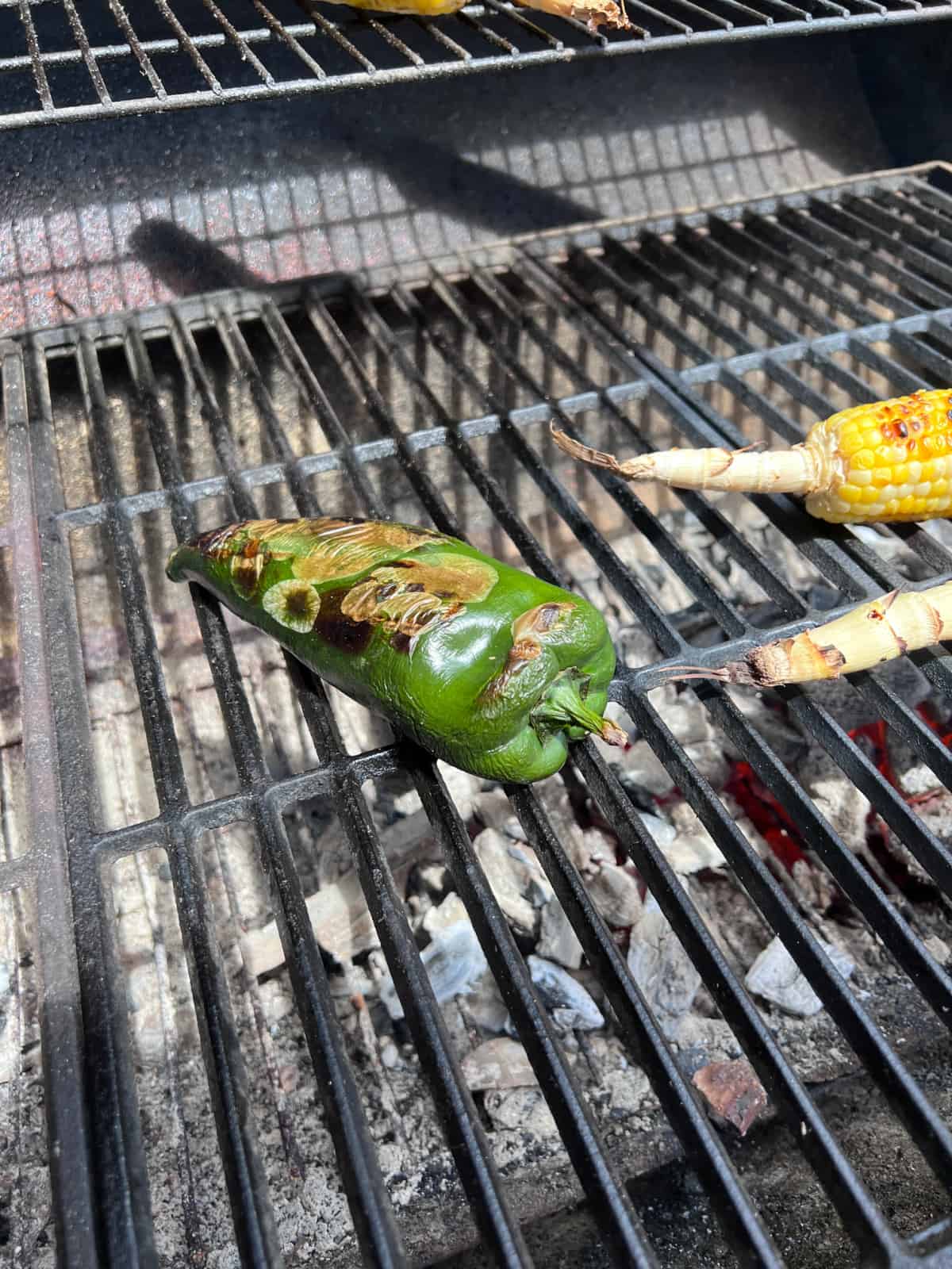 grilled poblano pepper