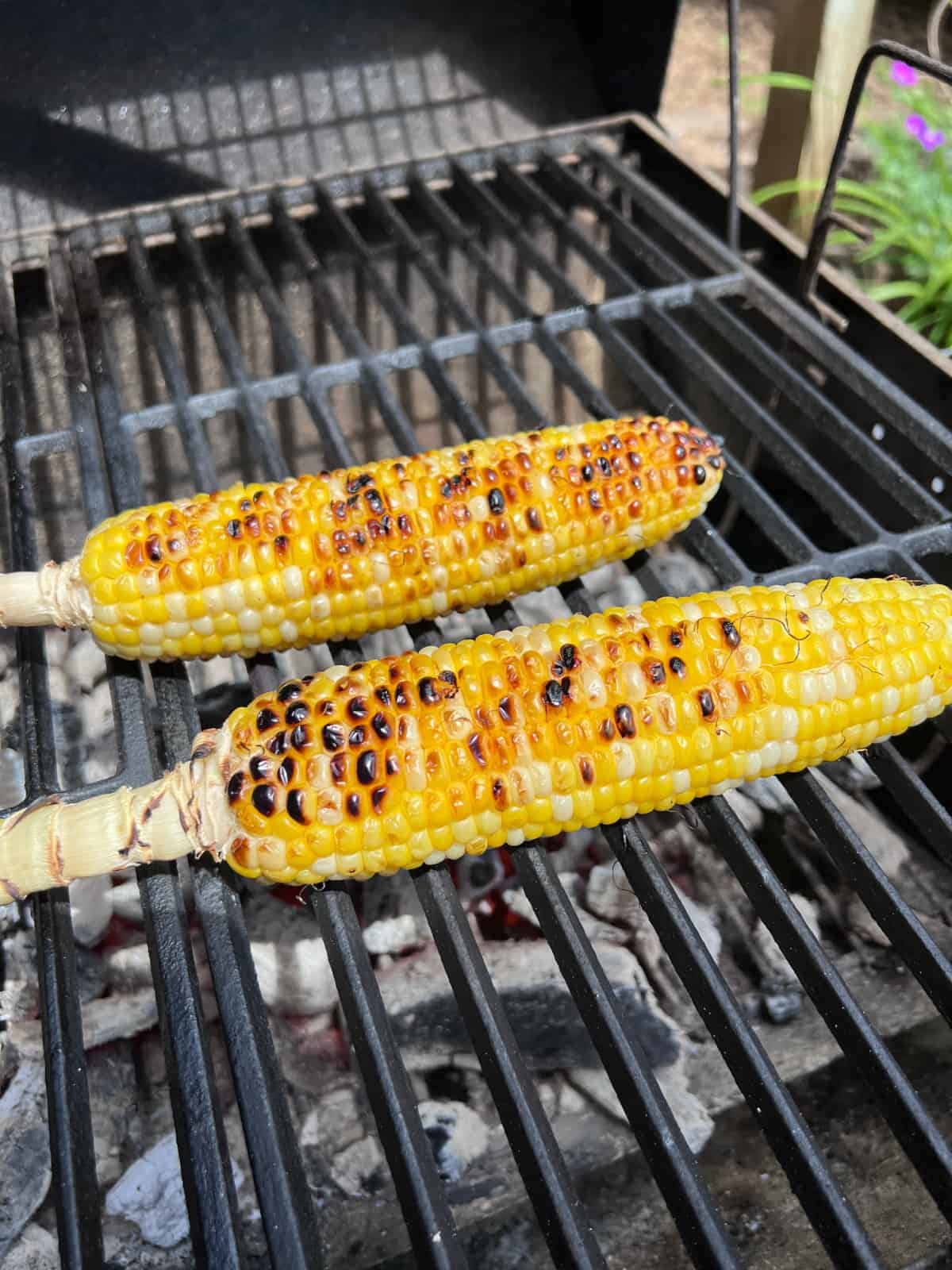 grilled corn on the cob