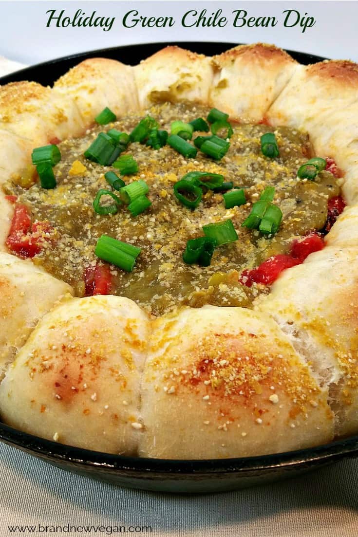 Spicy Green Chile Bean Dip Brand New Vegan
