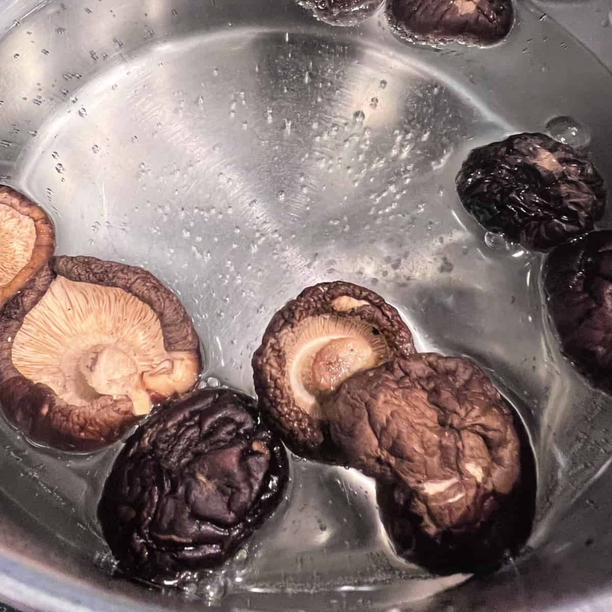 rehydrating shiitake mushrooms