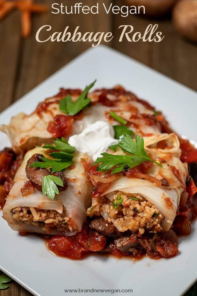 stuffed vegan cabbage rolls